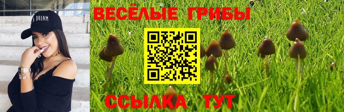 Галлюциногенные грибы GOLDEN TEACHER  Вход с VPN  Лениногорск  Галлюциногенные грибы MAGIC MUSHROOMS 