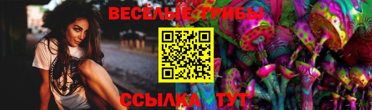 Псилоцибиновые грибы мицелий Лениногорск