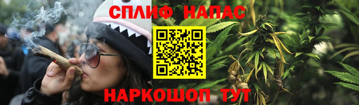 Каннабис семена Лениногорск