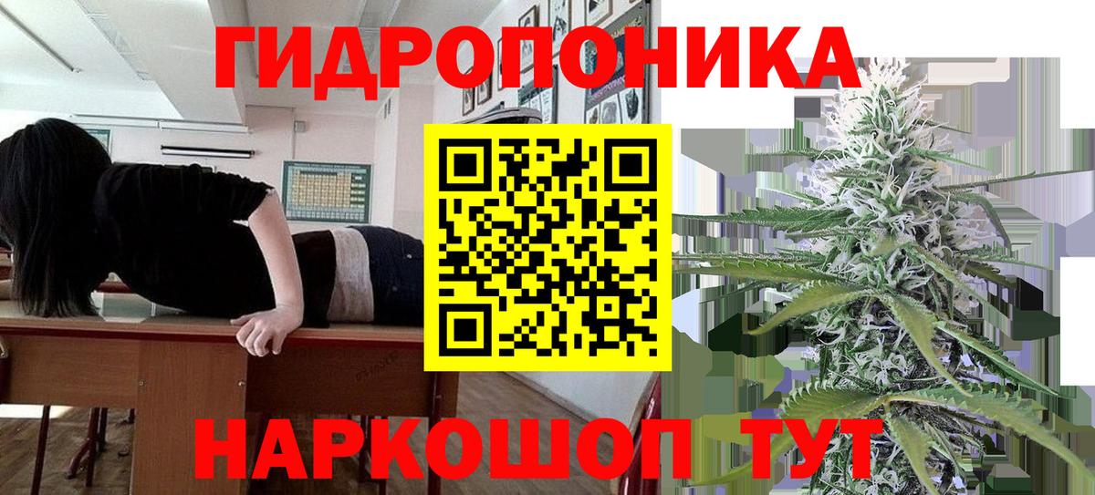 Конопля LSD WEED  Вход с VPN  Лениногорск  Бошки Шишки Amnesia 